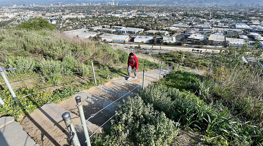 Hiking stairs on the trail